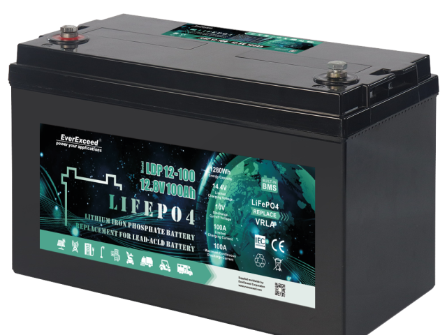 EverExceed LDP 12-100